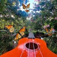 Dance of the Monarch